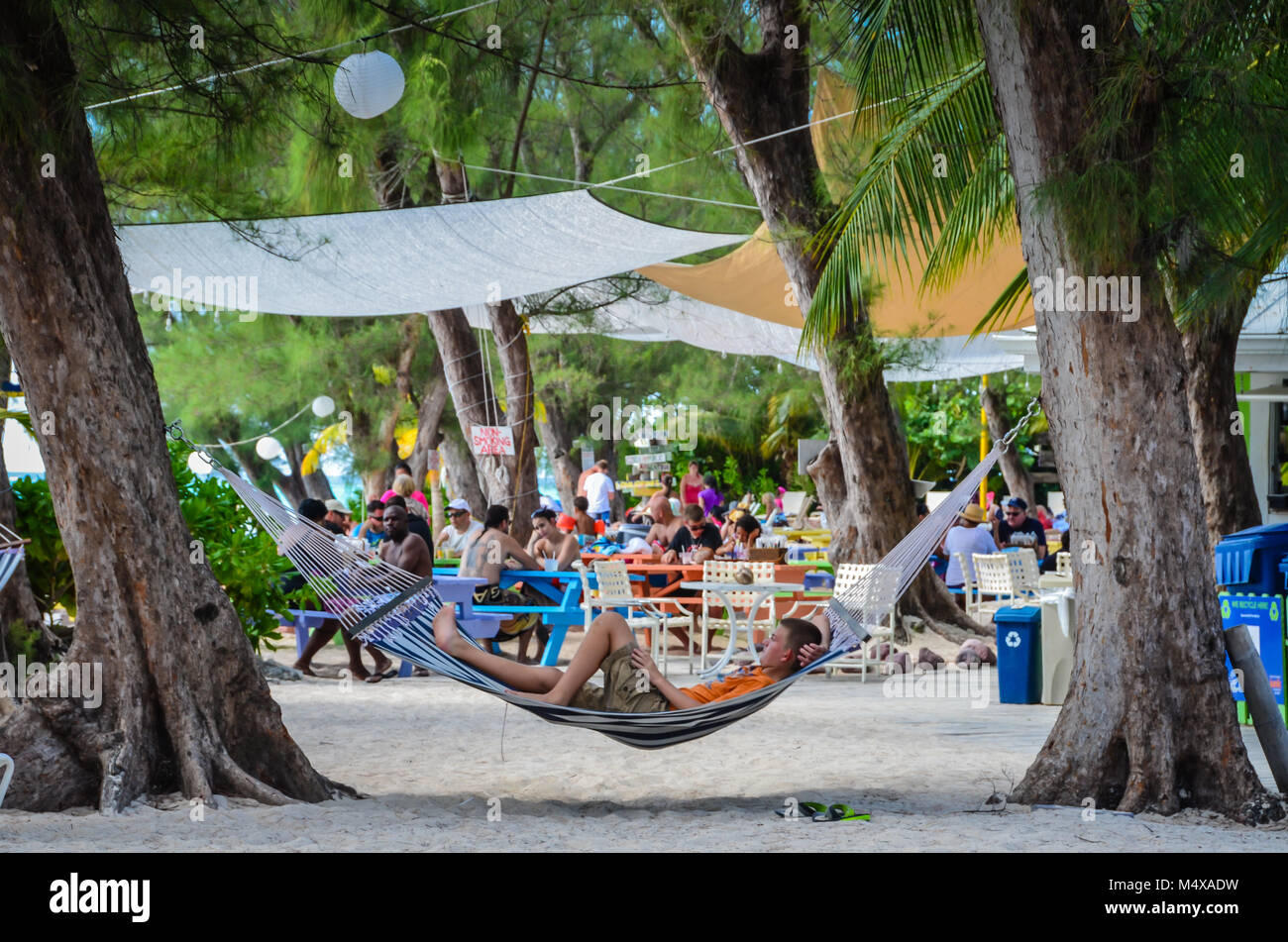 Young man rests on a hammock hanging from large trees next to picnic tables at Rum Point Club attraction in the Grand Caymans. Stock Photo