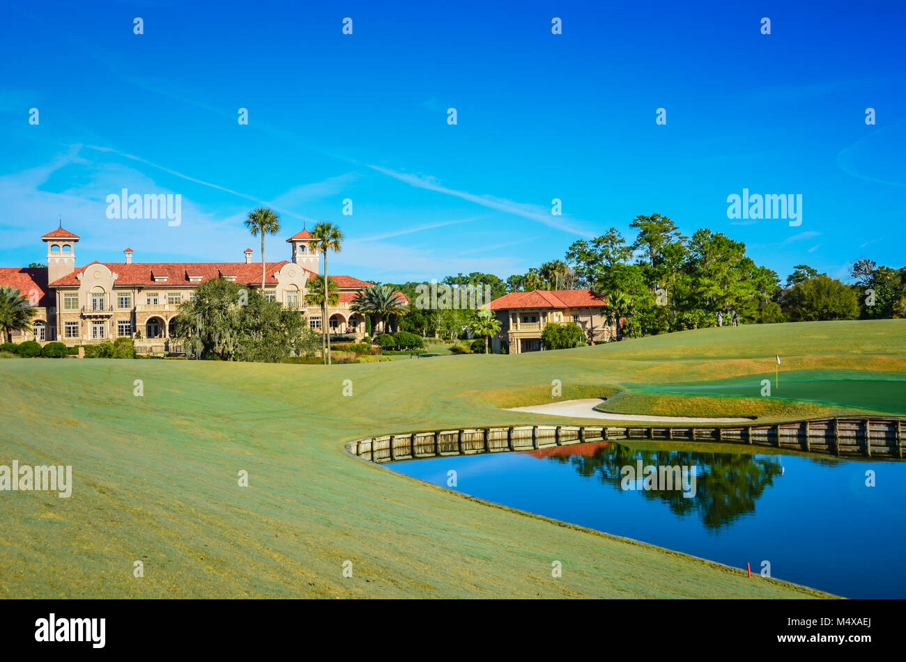 Sawgrass hi-res stock photography and images - Alamy