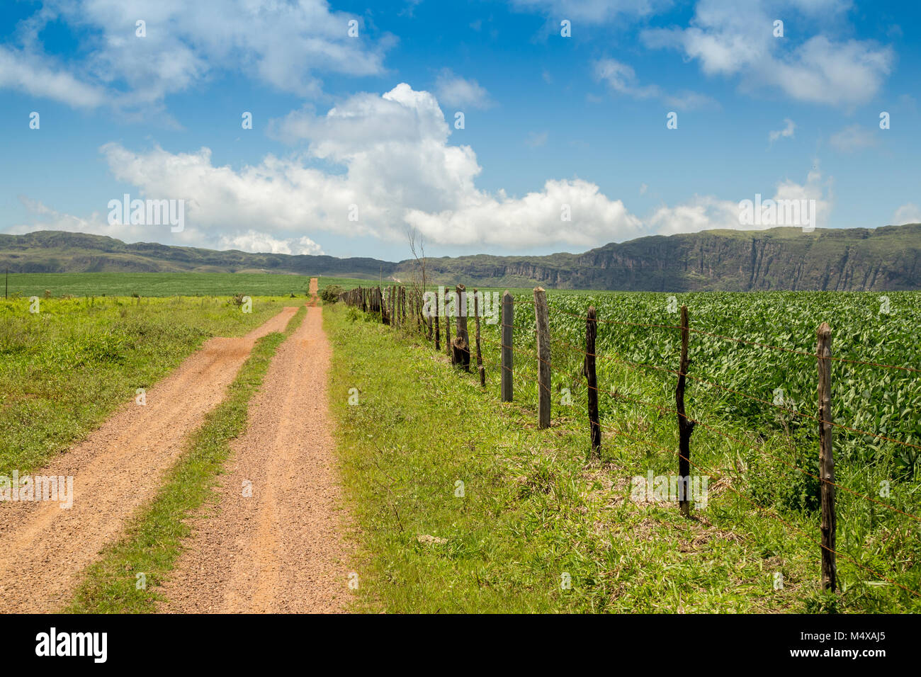 Montain of food hi-res stock photography and images - Alamy