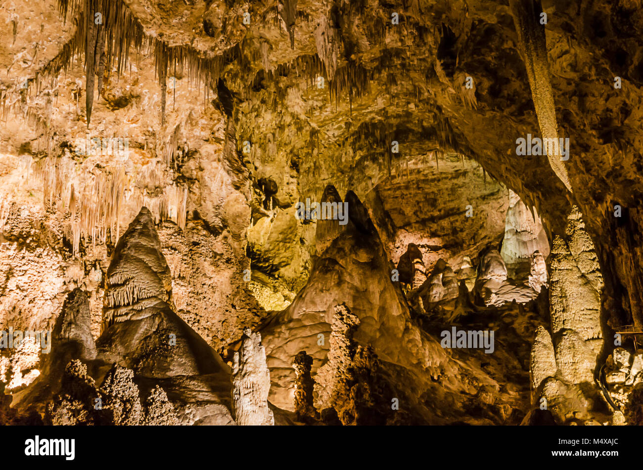 Carlsbad Cavern includes a large cave chamber (The Big Room), a natural limestone chamber almost 4,000 feet long. Stock Photo