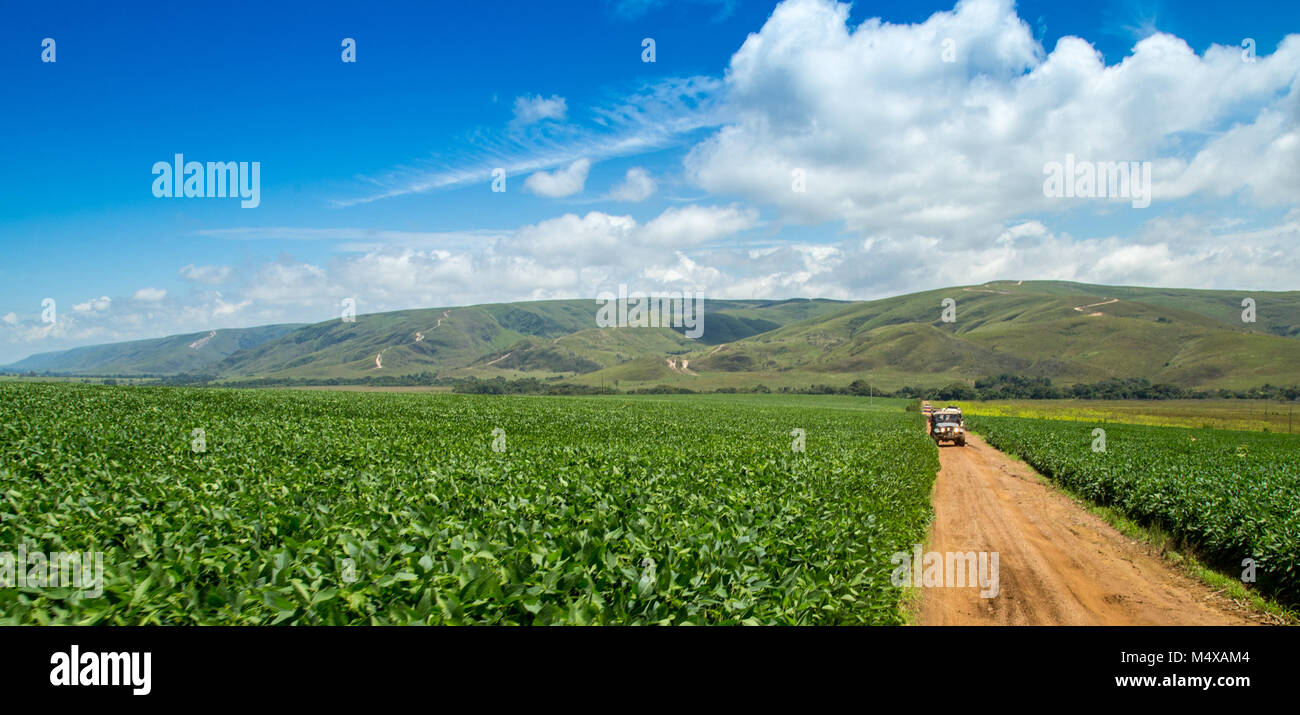 soybean plantation road montain brazil Stock Photo - Alamy