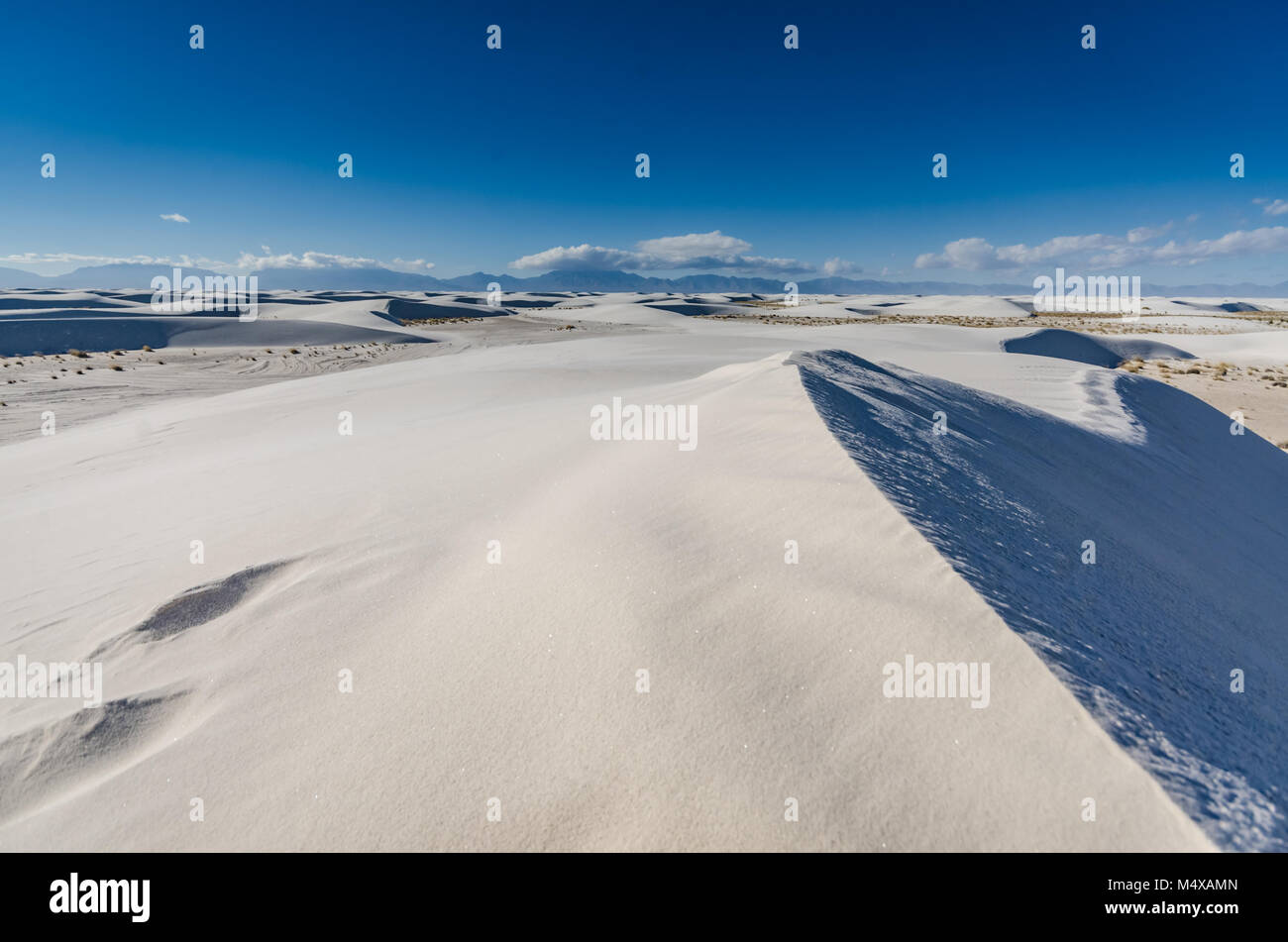 Undulating gypsum dunes at  White Sands National Monument in New Mexico. Stock Photo
