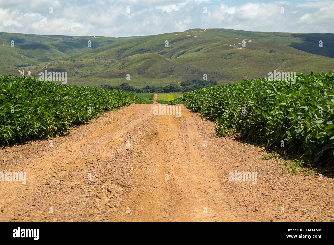 soybean plantation road montain brazil Stock Photo - Alamy