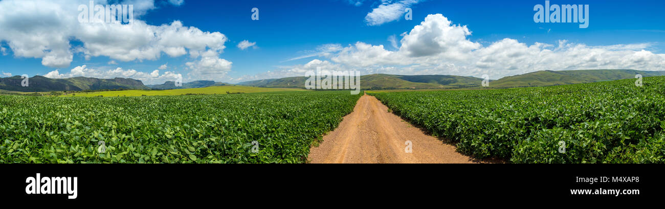 Soybean plantation road montain hi-res stock photography and images - Alamy