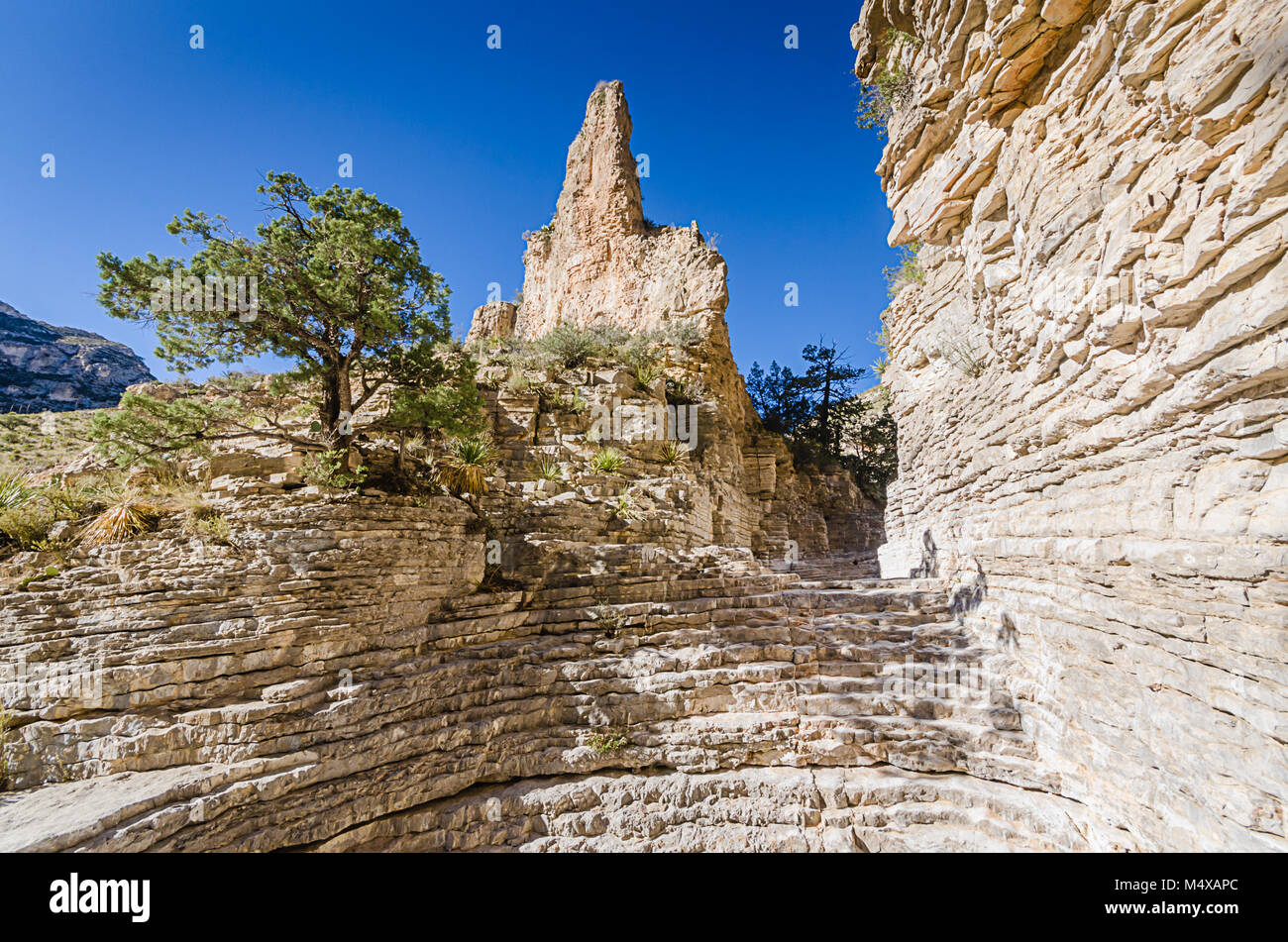 Vertical shot of a natural rock formation aptly named 'Hiker's Staircase' at Guadalupe Mountains National Park in Texas. Stock Photo