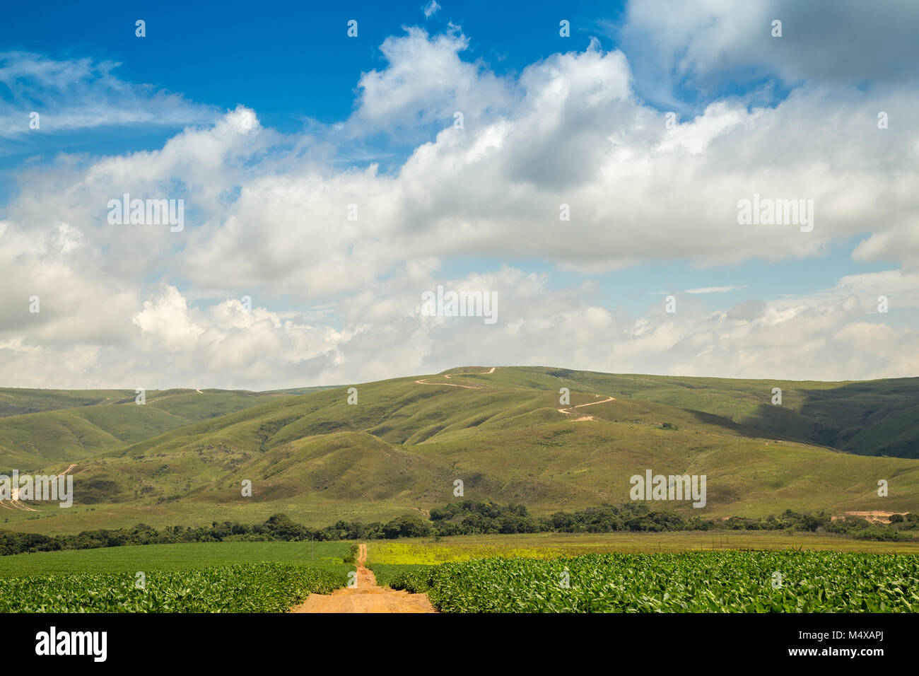 Montain of food hi-res stock photography and images - Alamy