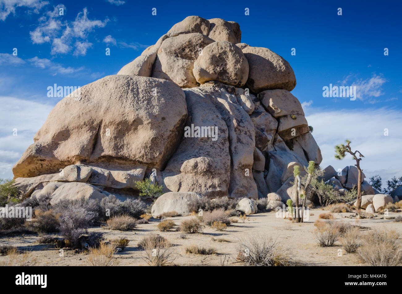 Rear view of Intersection Rock in Joshua Tree National Park Yucca