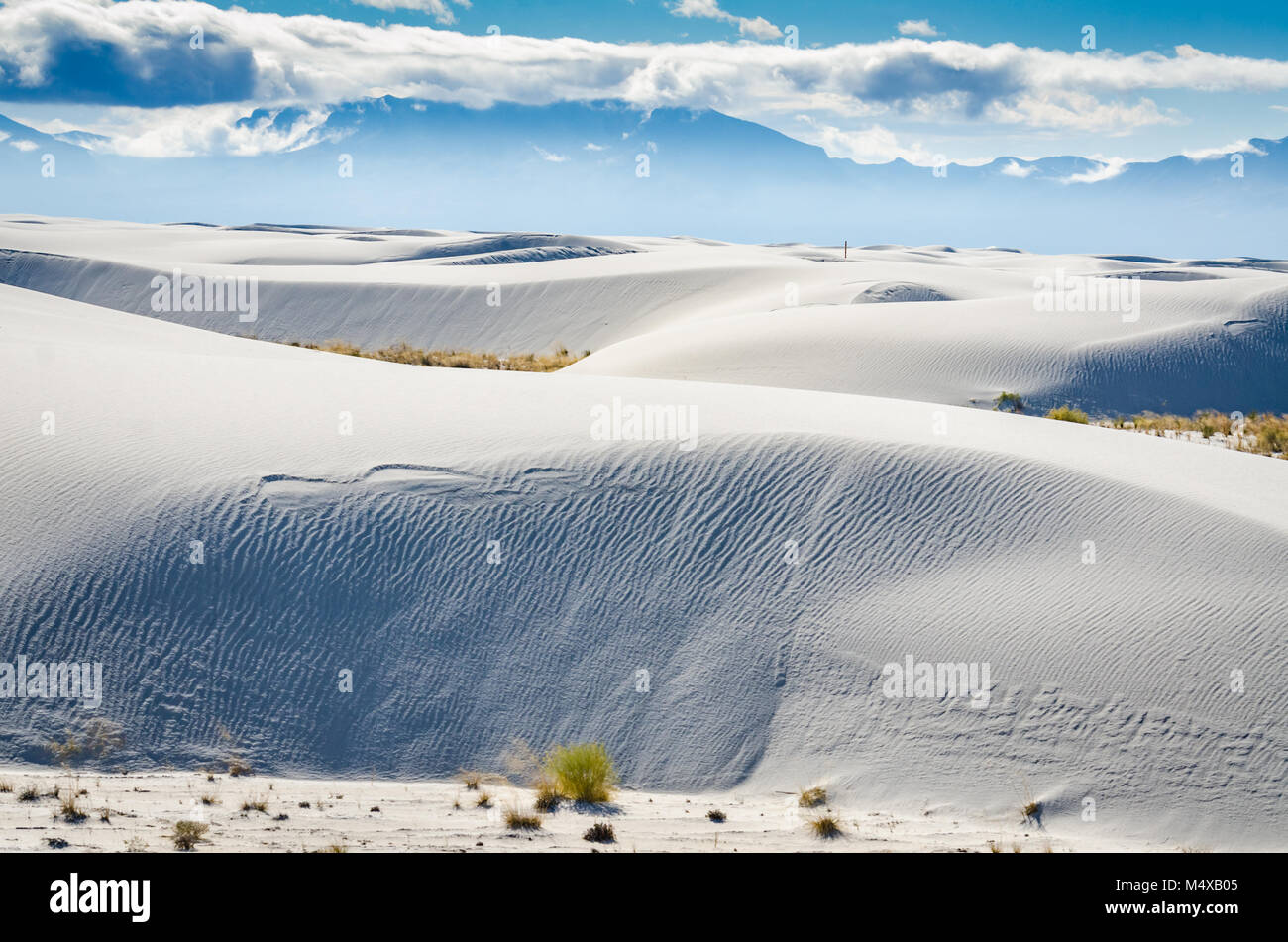 Brighter than snow, gypsum dunes go on forever at White Plains National Monument in New Mexico. Stock Photo