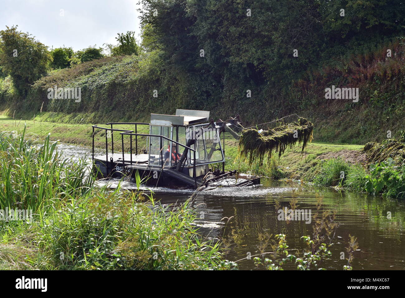 Floating power cutter removing water weeds and reeds from Royal Canal in Ireland. Stock Photo