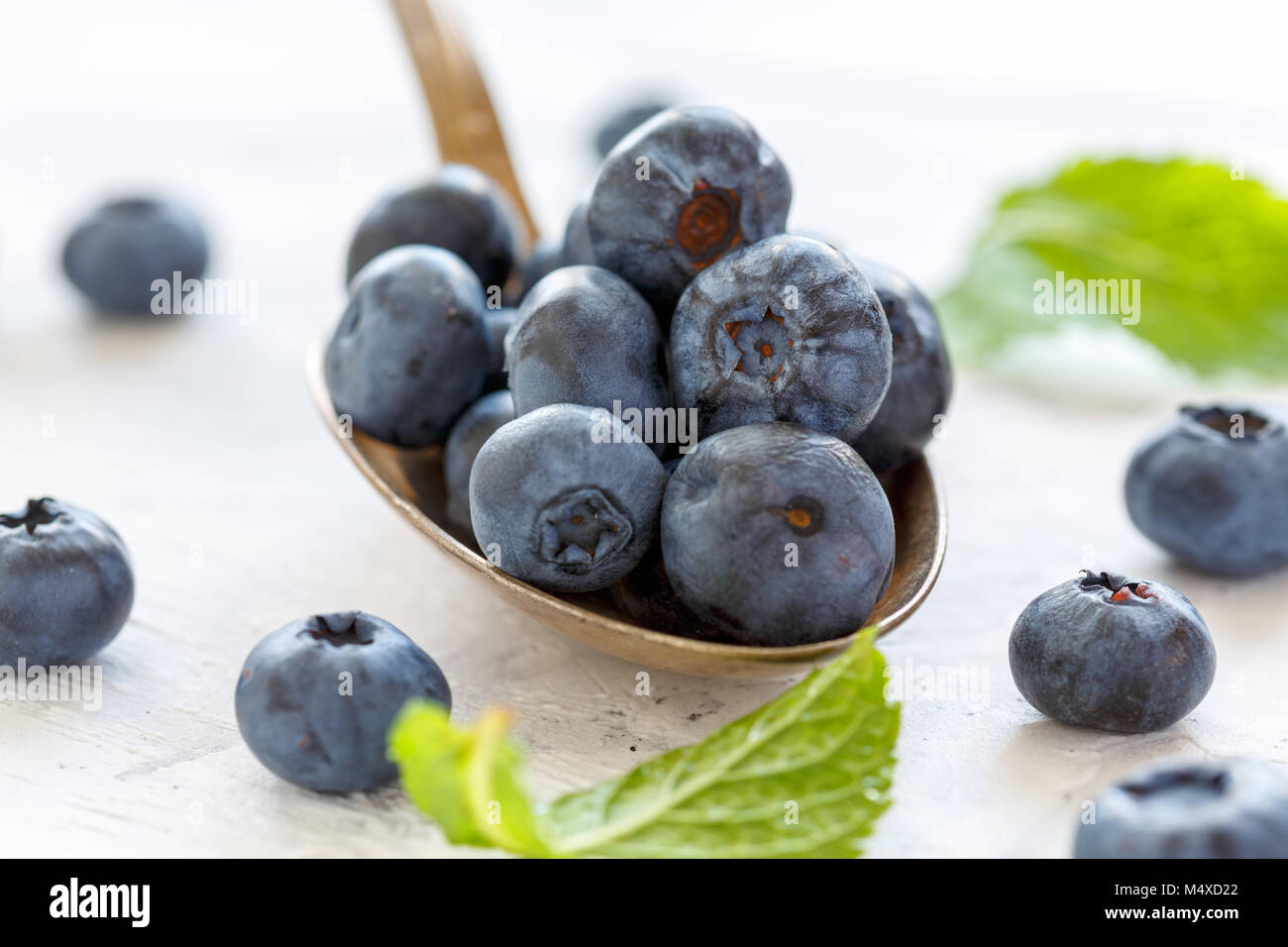 Ripe blueberries in a tablespoon of closeup. Stock Photo