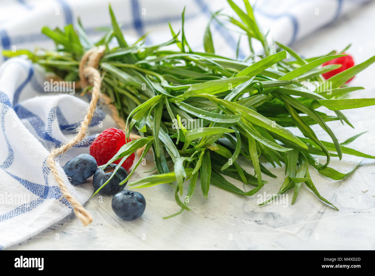 Fresh tarragon in the water droplets Stock Photo Alamy