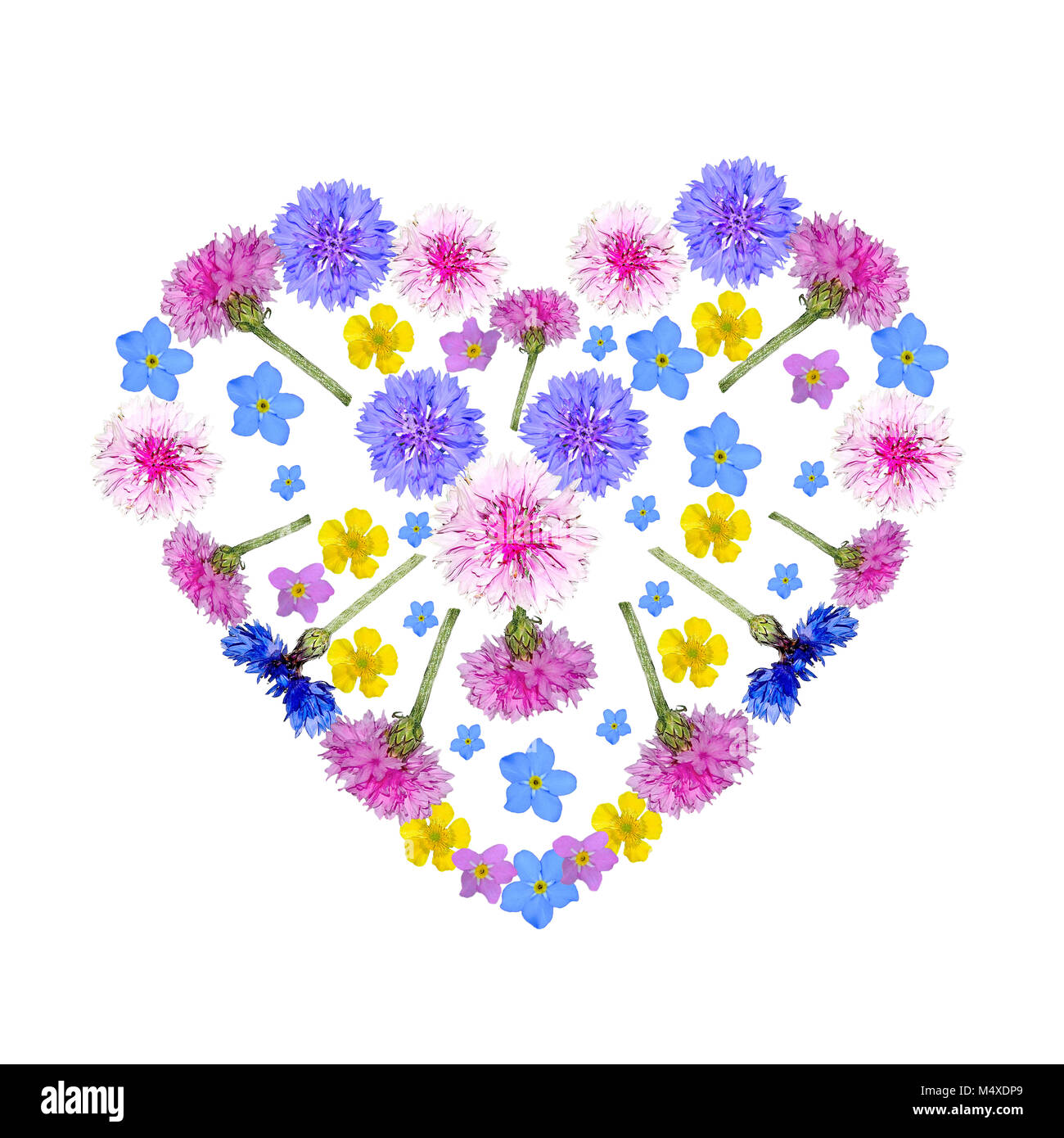 Colorful floral heart from gentle wild flowers Stock Photo