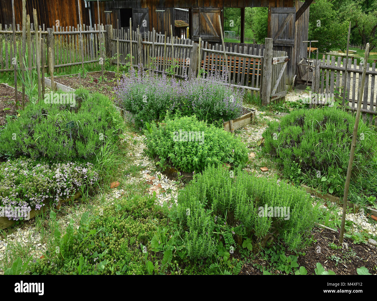 herb garden Stock Photo