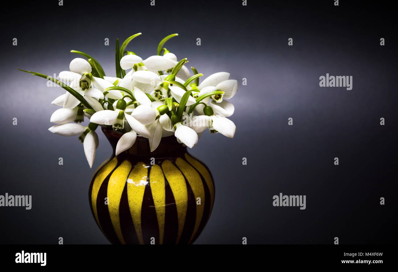 Snowdrop flowers in a small vase on dark background Stock Photo