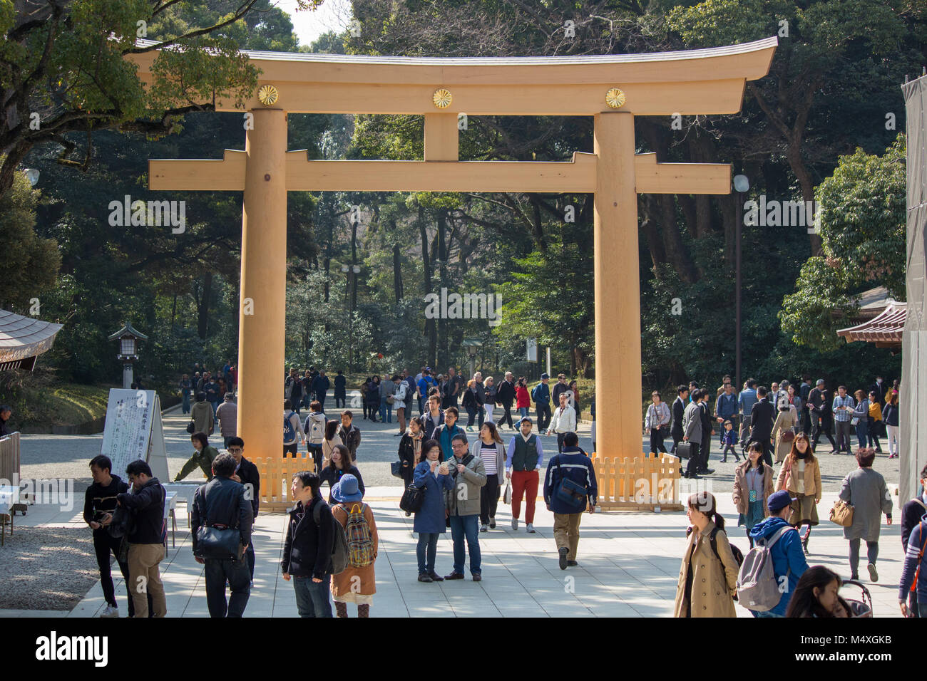 The Torii (shrine archway) at Meiji Jingu shrine in Tokyo Stock Photo