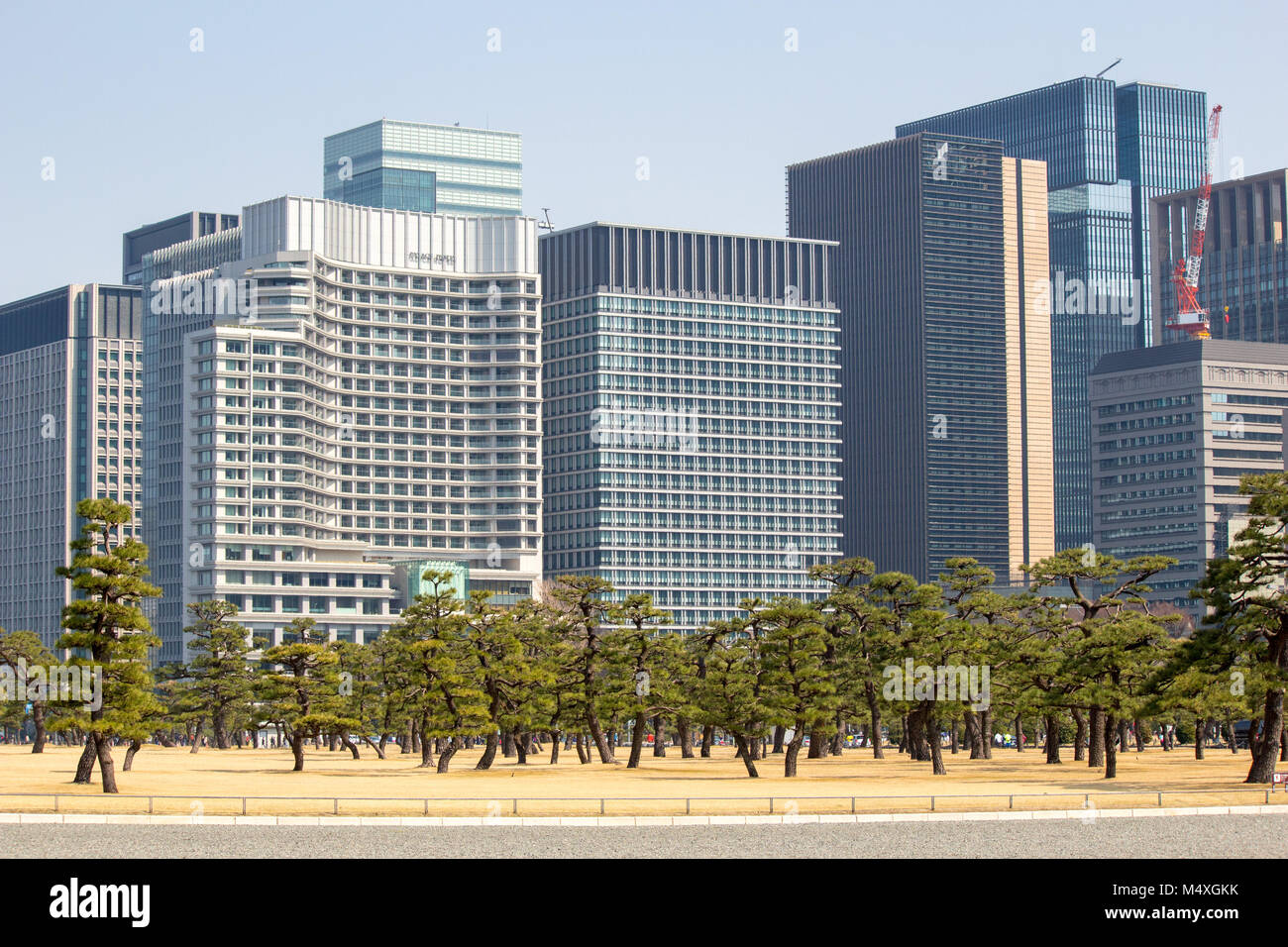 The view towards the Mitsubishi office blocks near the  Kokyogaien National Park. Stock Photo