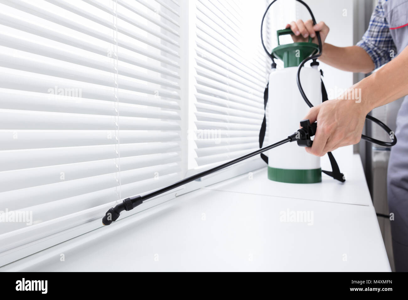 Midsection Of Worker Spraying Insecticide On Windowsill With Sprayer In Kitchen Stock Photo