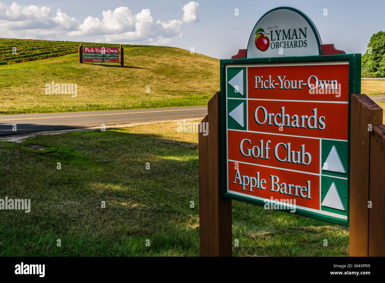 Sunflower Maze Lyman Orchards Middlefield, Connecticut, USA Stock Photo Alamy