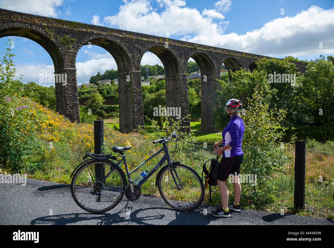Cyclist beneath Kilmacthomas Viaduct, Waterford Greenway, County Waterford, Ireland. Stock Photo