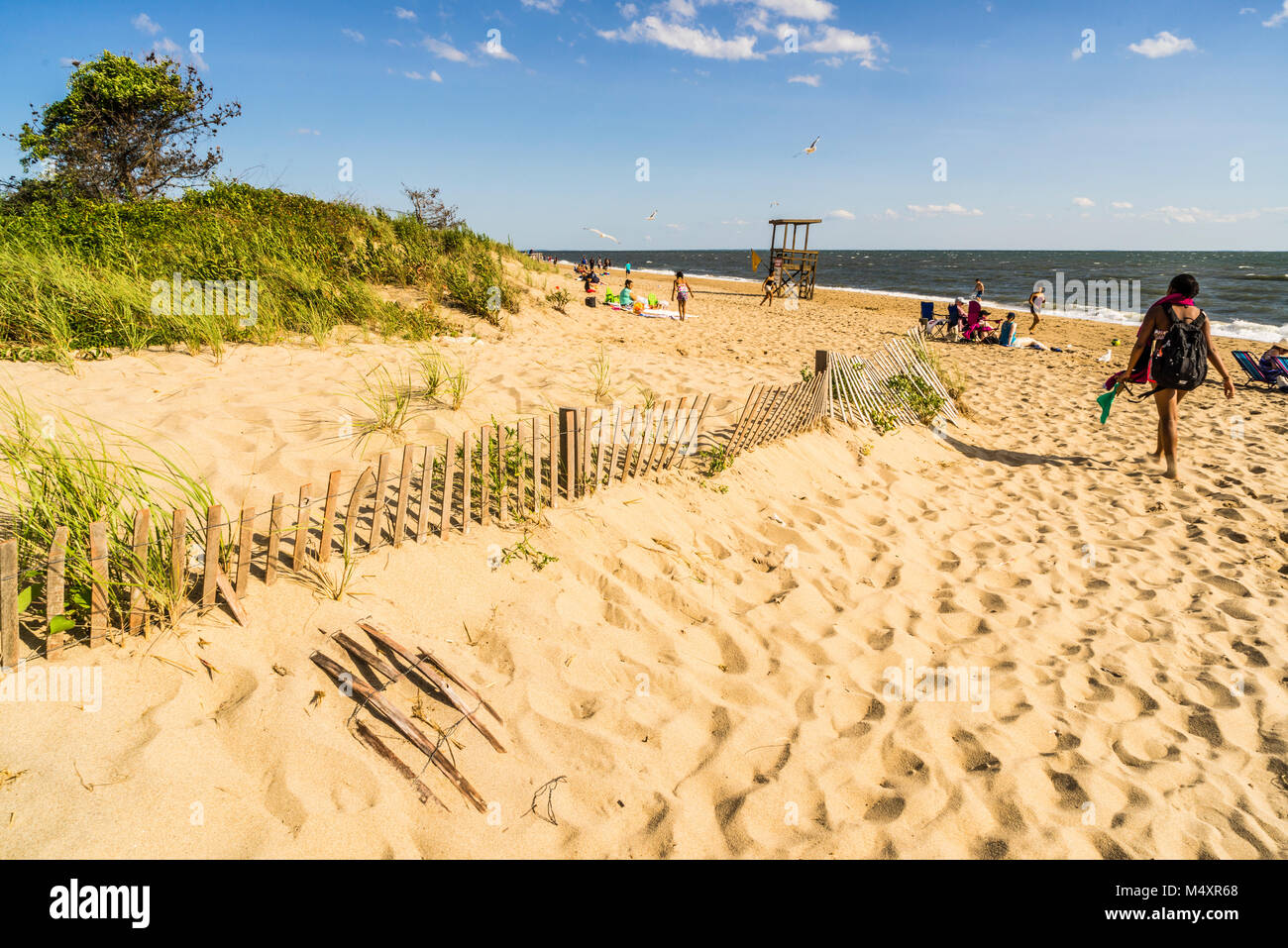 Escape to Paradise: Your Guide to Connecticut's Hammonasset Beach State Park