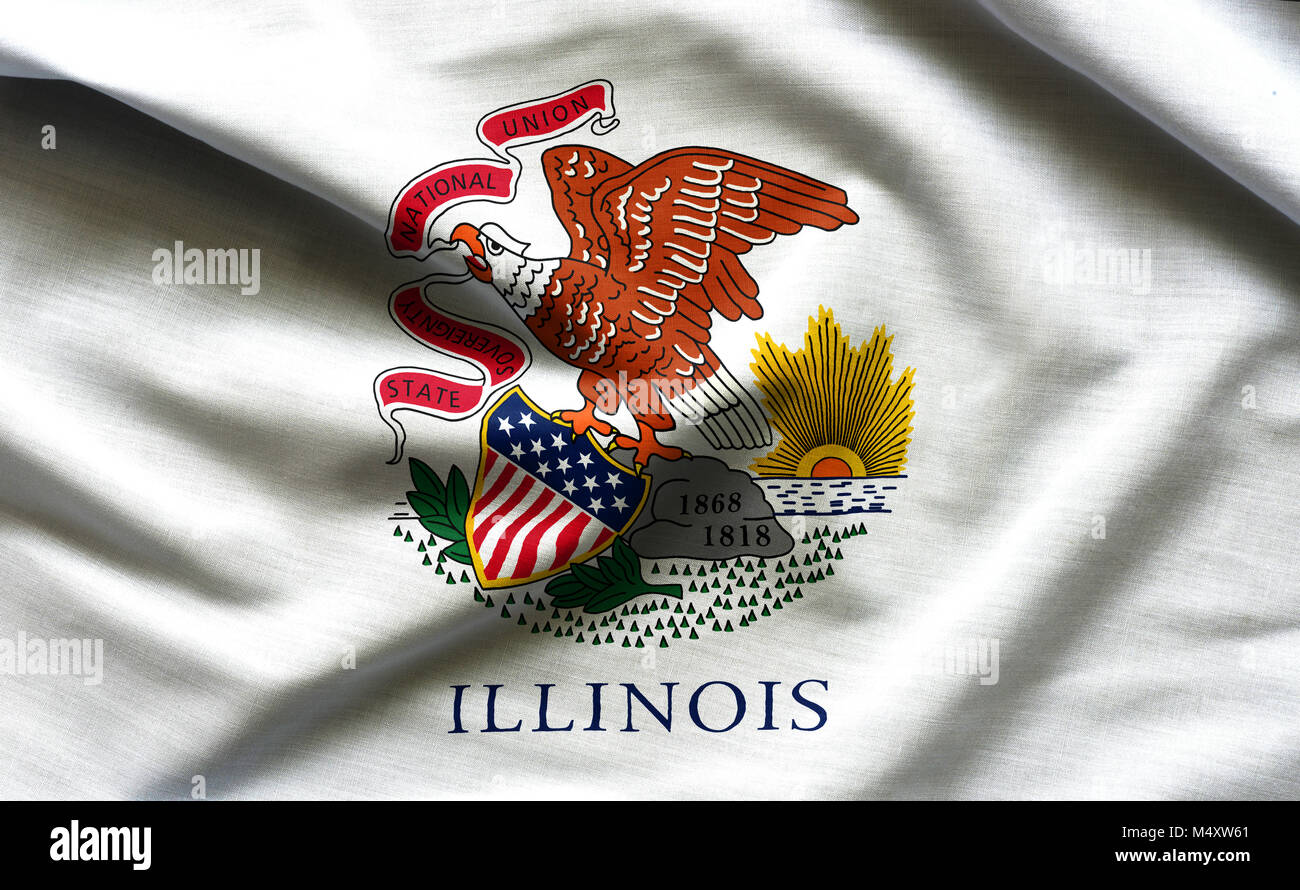 3x5 ft ILLINOIS OFFICIAL STATE FLAG Land of Lincoln OUTDOOR NYLON MADE IN USA eB