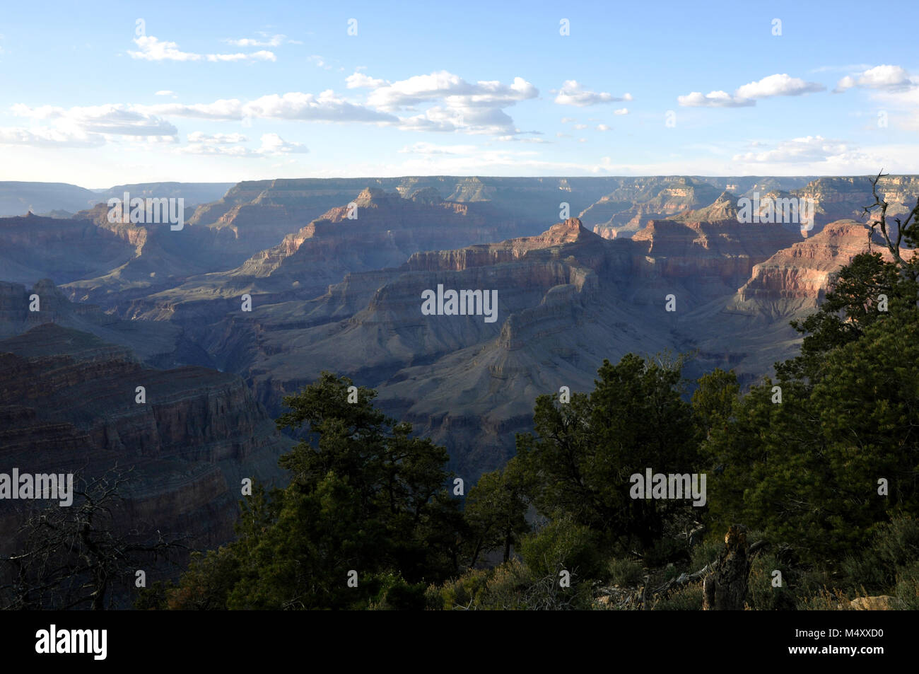 Beautiful View from the Top of Grand Canyon Stock Photo - Alamy