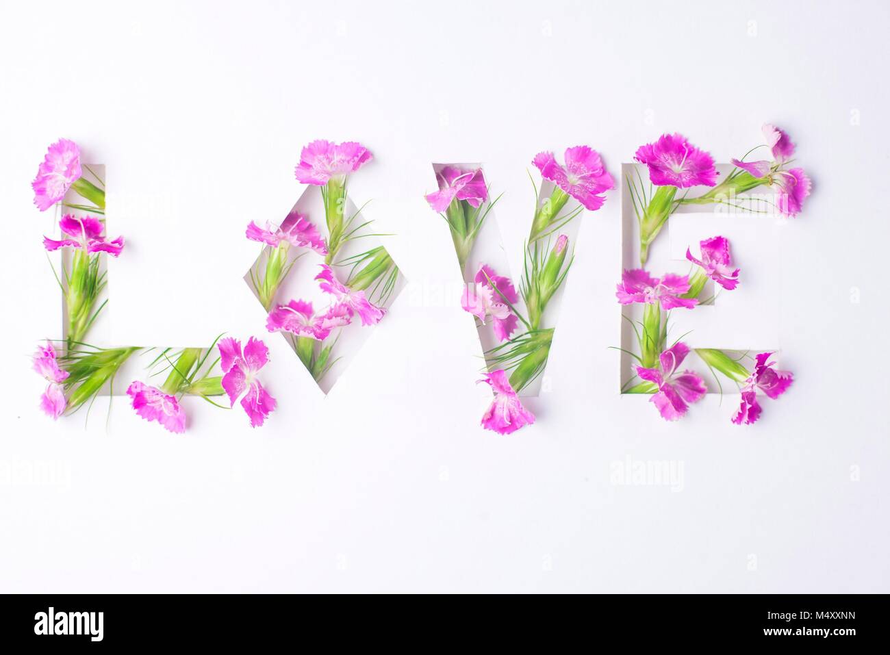Frame made ​​of flowers cutout on white background Stock Photo - Alamy