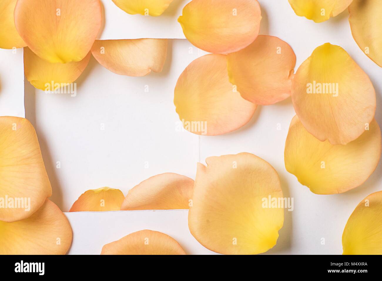 background of orange rose petals on a table Stock Photo - Alamy