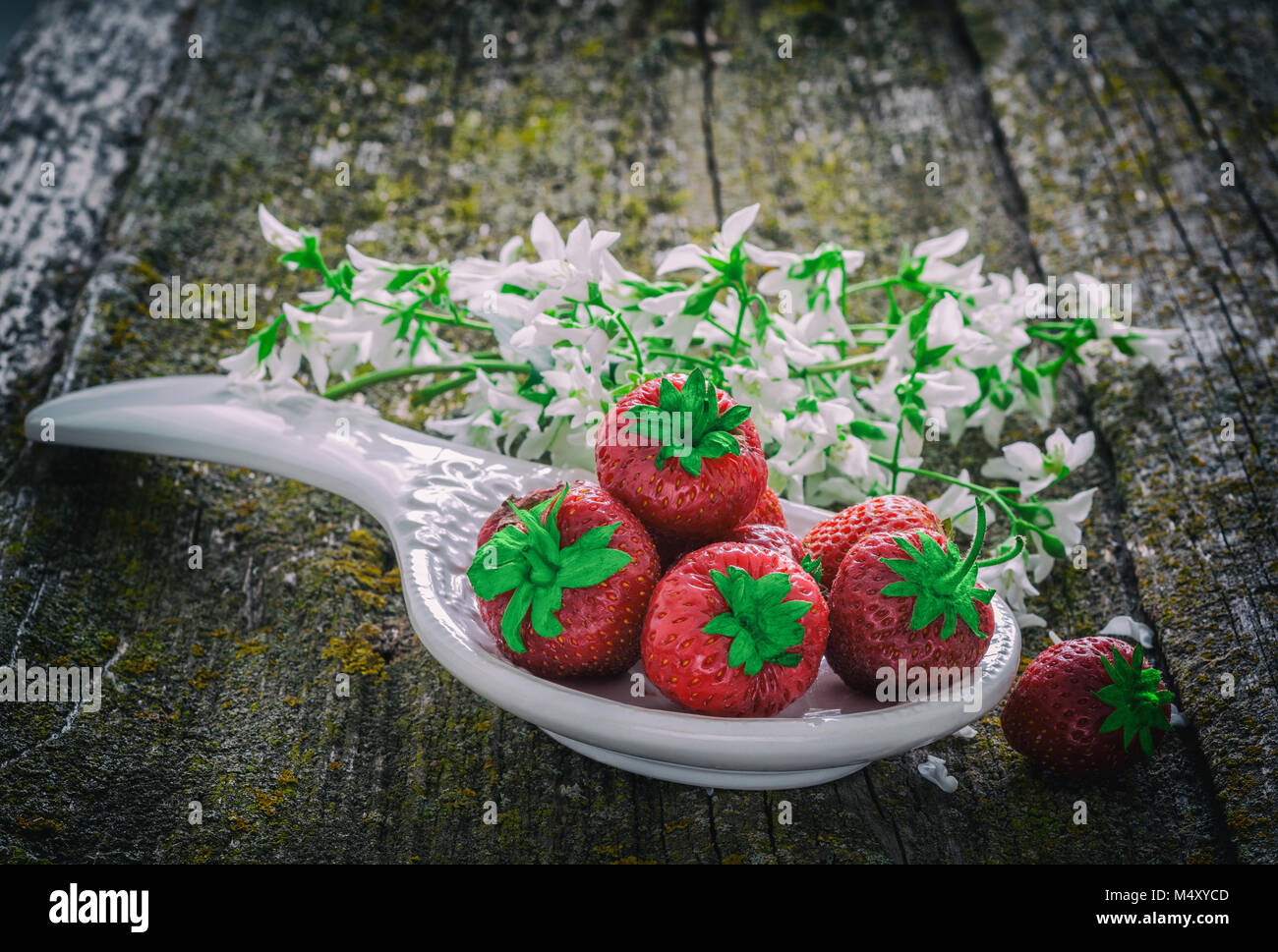 Still life with red strawberries Stock Photo - Alamy