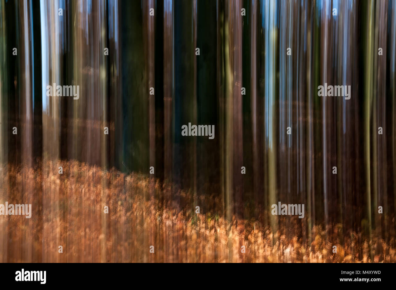 Motion background hi-res stock photography and images - Alamy