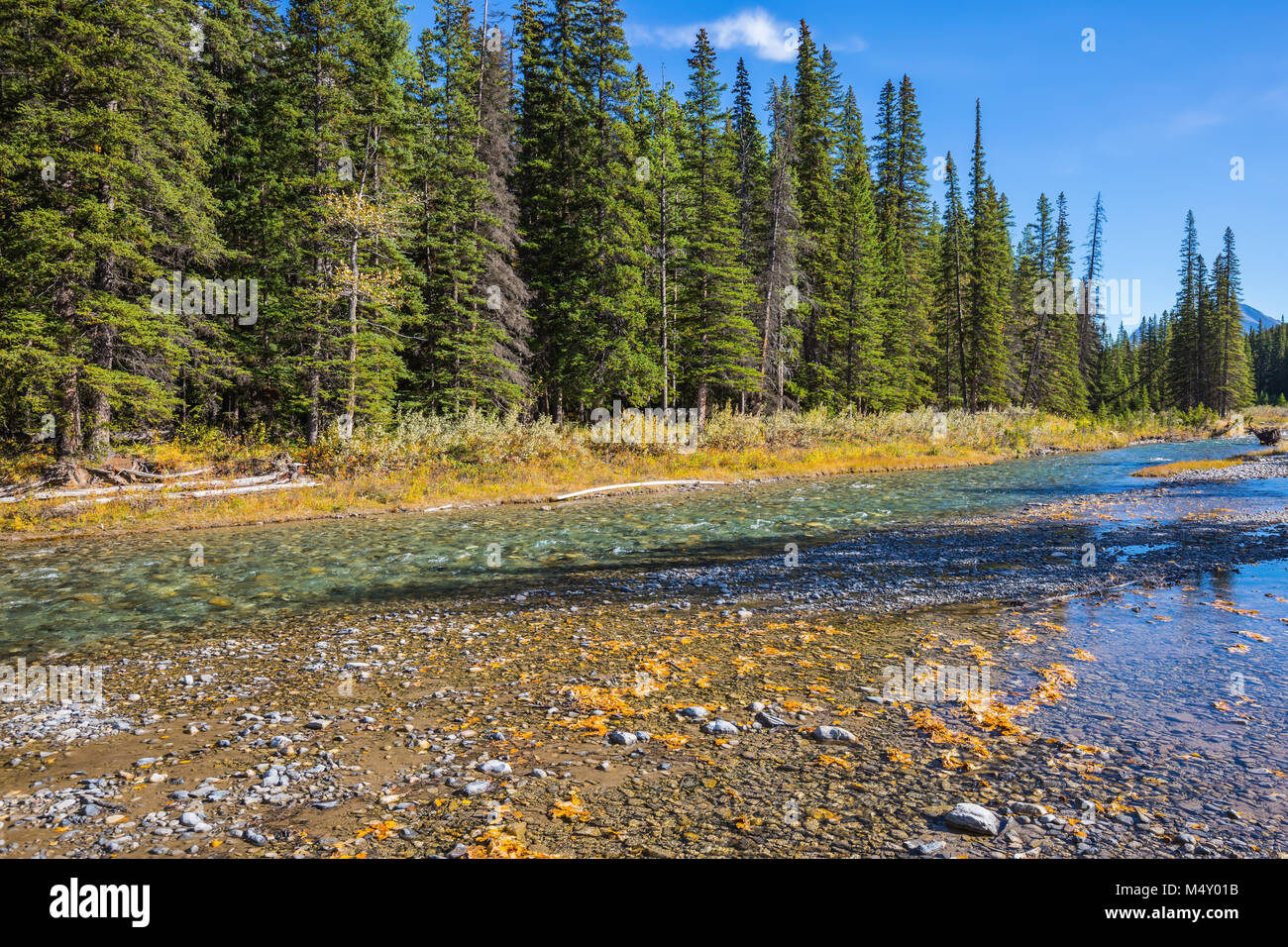 Rocky mountains in forest hi-res stock photography and images - Alamy