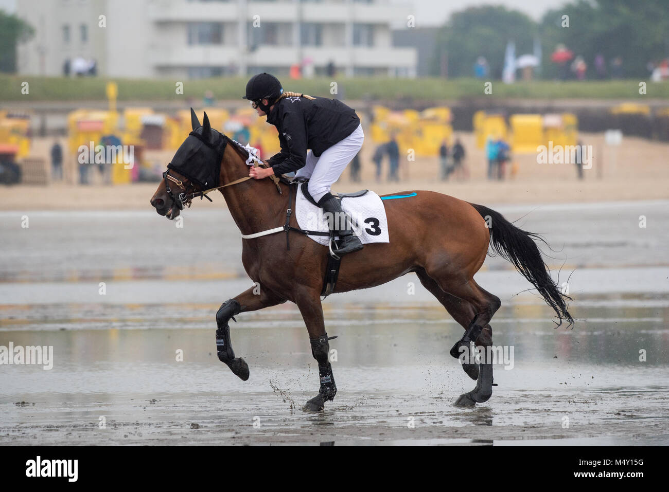 Young Horses Racing The horse race hi-res stock photography and images - Alamy