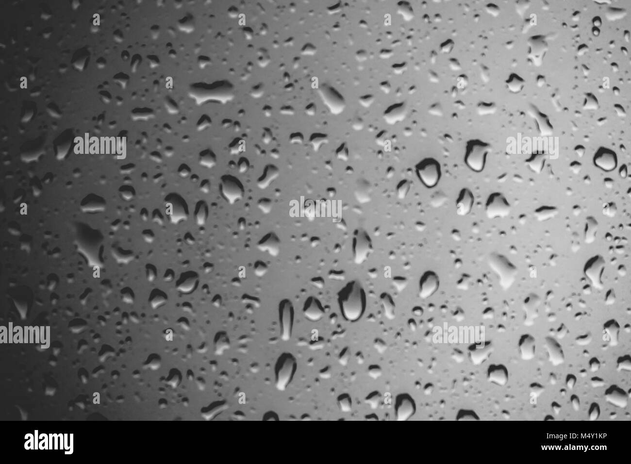 Raindrops in black and white Stock Photo