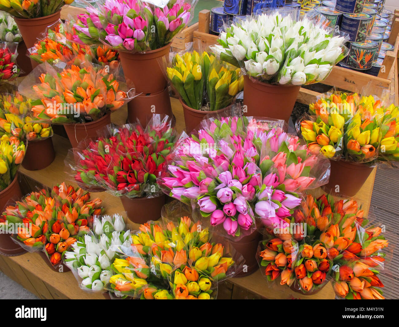 Tulips for date, Amsterdam Stock Photo