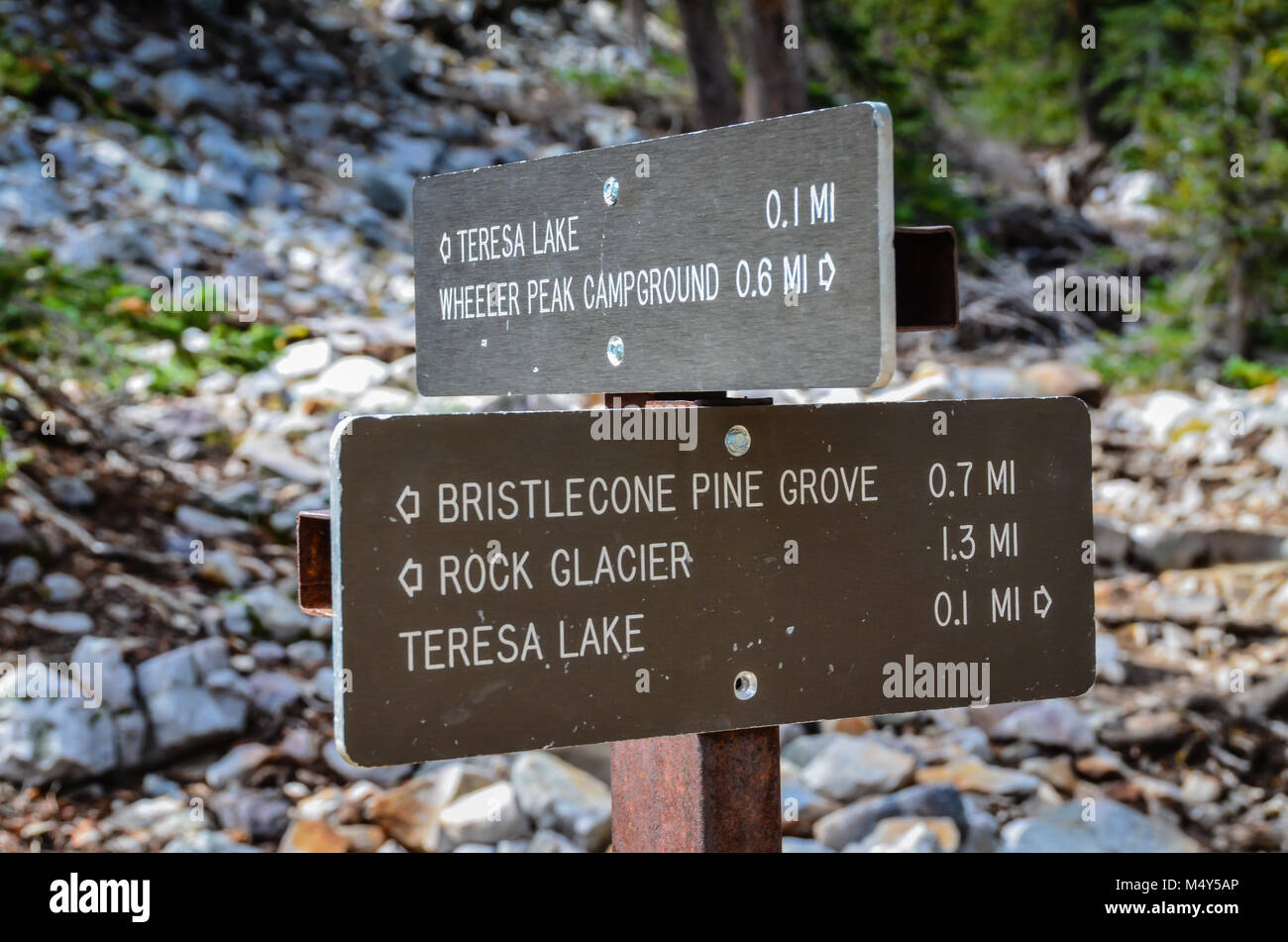 Sign post on Bristlecone Pine Grove trail in Great Basin National Park in Baker, Nevada. Stock Photo