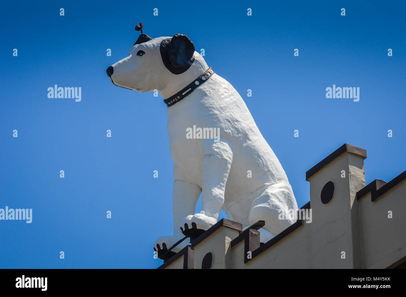 White dog statue, likeness of RCA mascot Nipper, perched on top of a building with a bright blue sky background, in Albany, New York. Stock Photo