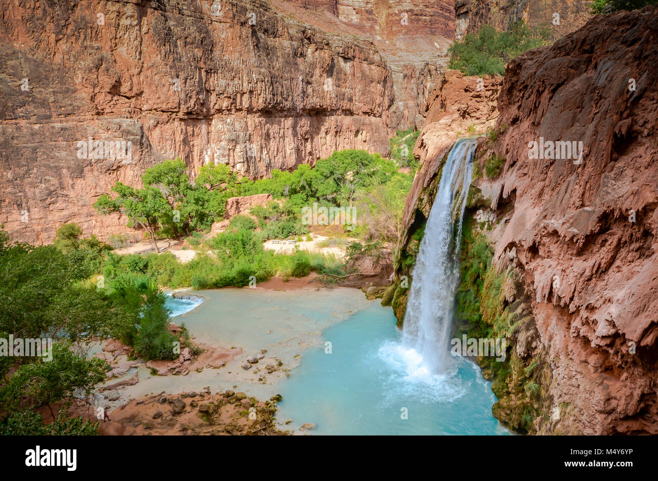 Havasu Falls is a waterfall of Havasu Creek, located in the Grand Canyon, Arizona, United States. It is within Havasupai tribal lands. Stock Photo