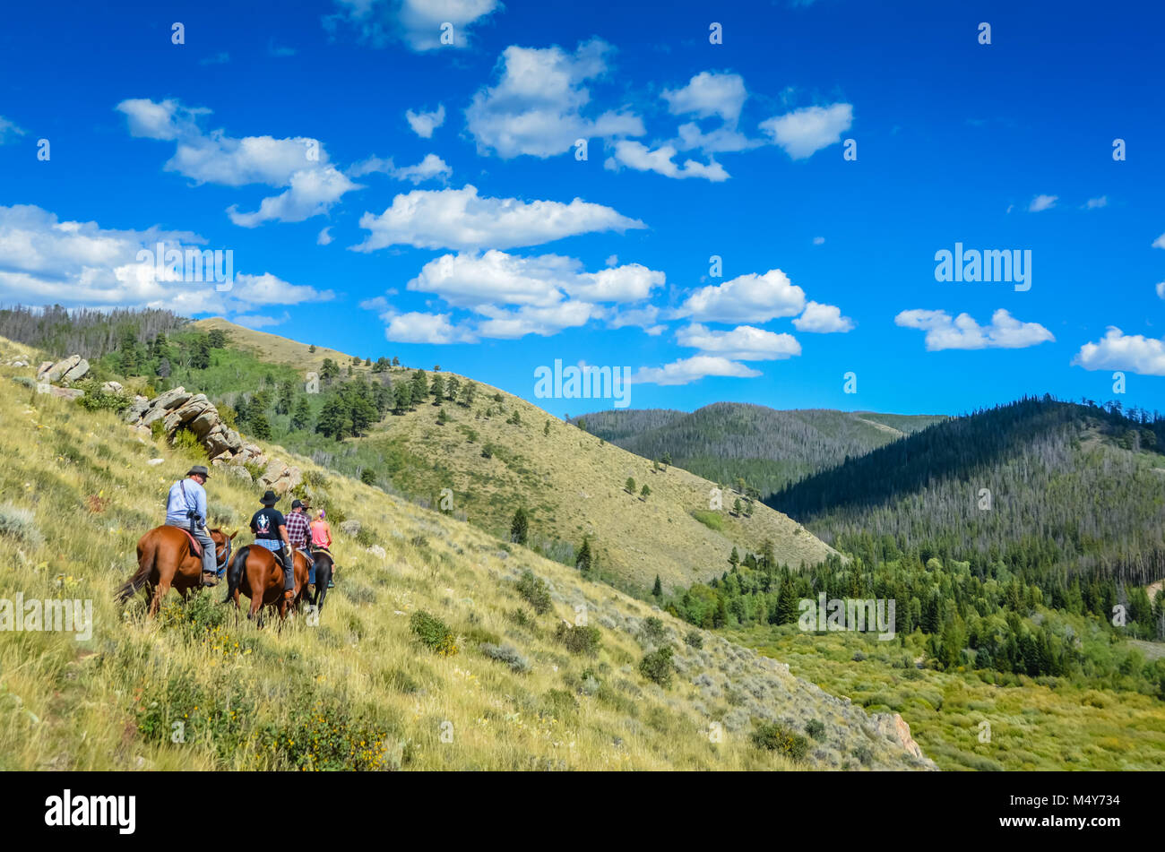 A group of riders follow a narrow trail on a sage bush-covered hill in Medicine Bow National Forest. Stock Photo