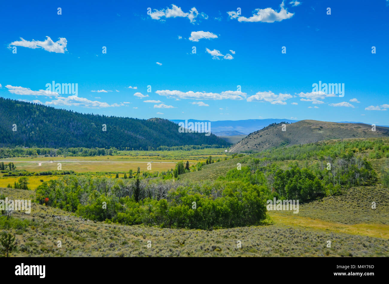 Grasslands dotted with wild flowers, sage bush and pine tree covered hills, and a big blue sky in a valley at Medicine Bow National Forest. Stock Photo