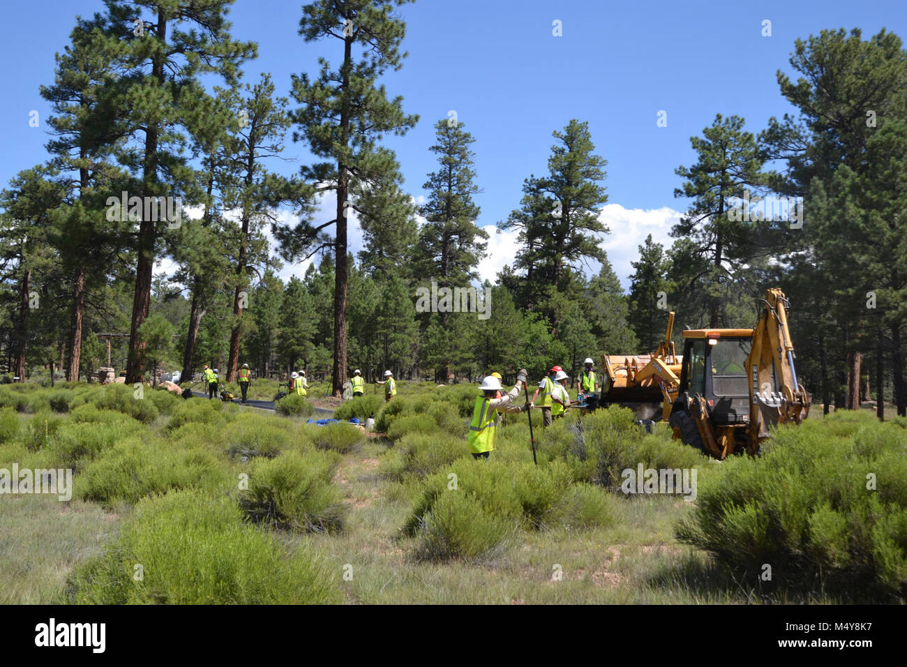 Workers and machines work in the trees to pave the Greenway Trail.  Between August 10 to September 10, 2016 the Greenway Trail between the IMAX Theater parking area in Tusayan and Center Road in Grand Canyon National Park will be closed while Grand Canyon's trail crew installs asphalt. The portion of the trail north of Center Road will not be affected.  While the trail closure is in effect, cyclists and hikers may ride the Tusayan shuttle (Purple Route) which is equipped with bicycle carrier racks. The shuttle connects Tusayan with the South Rim Visitor Center, a 20 minute ride each way.  The  Stock Photo