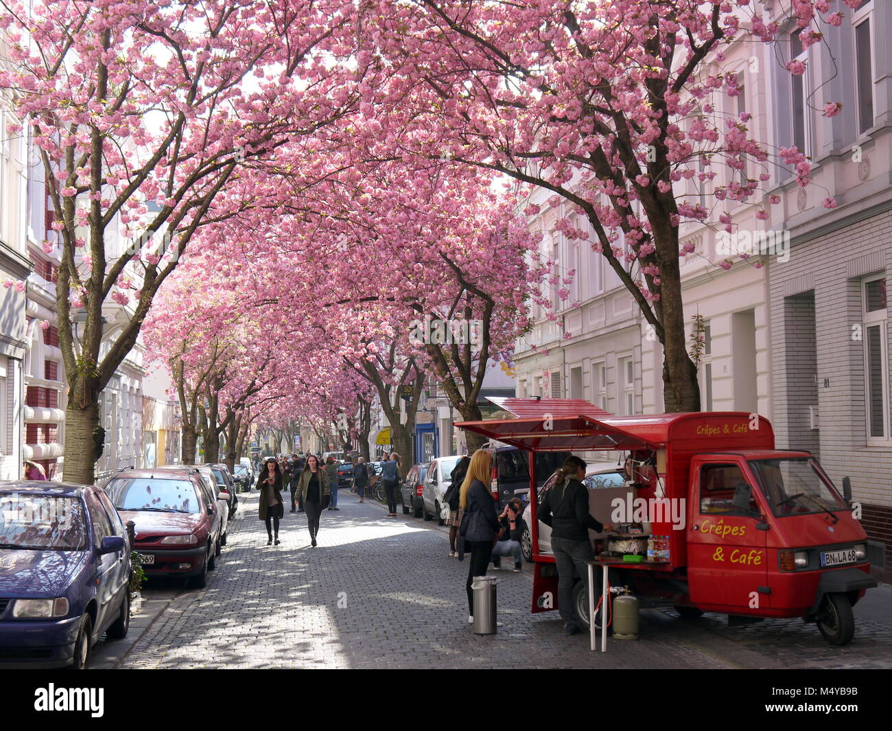 BONN, GERMANY - APRIL 18, 2016: Little mobile coffee shop under rows of cherry blossoms sakura trees in Bonn, former capital of Germany on a beautiful Stock Photo