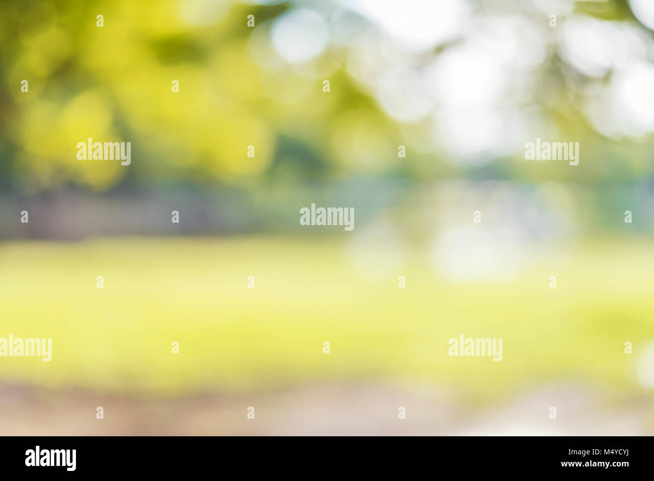 Abstract blurred background with green and white bokeh background Stock ...