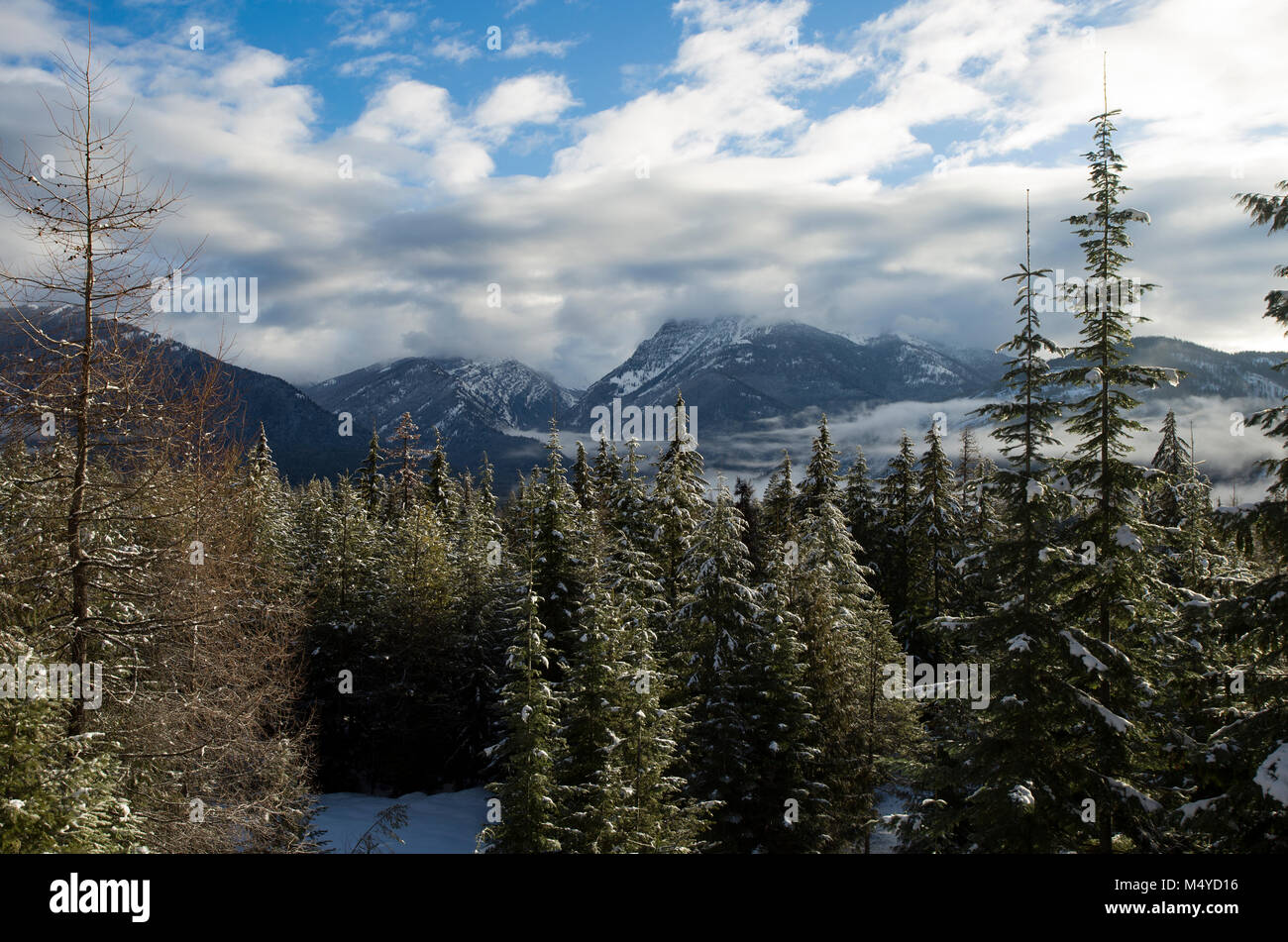 A winter view of the snow dusted Cabinet Mountains over the Bull River ...