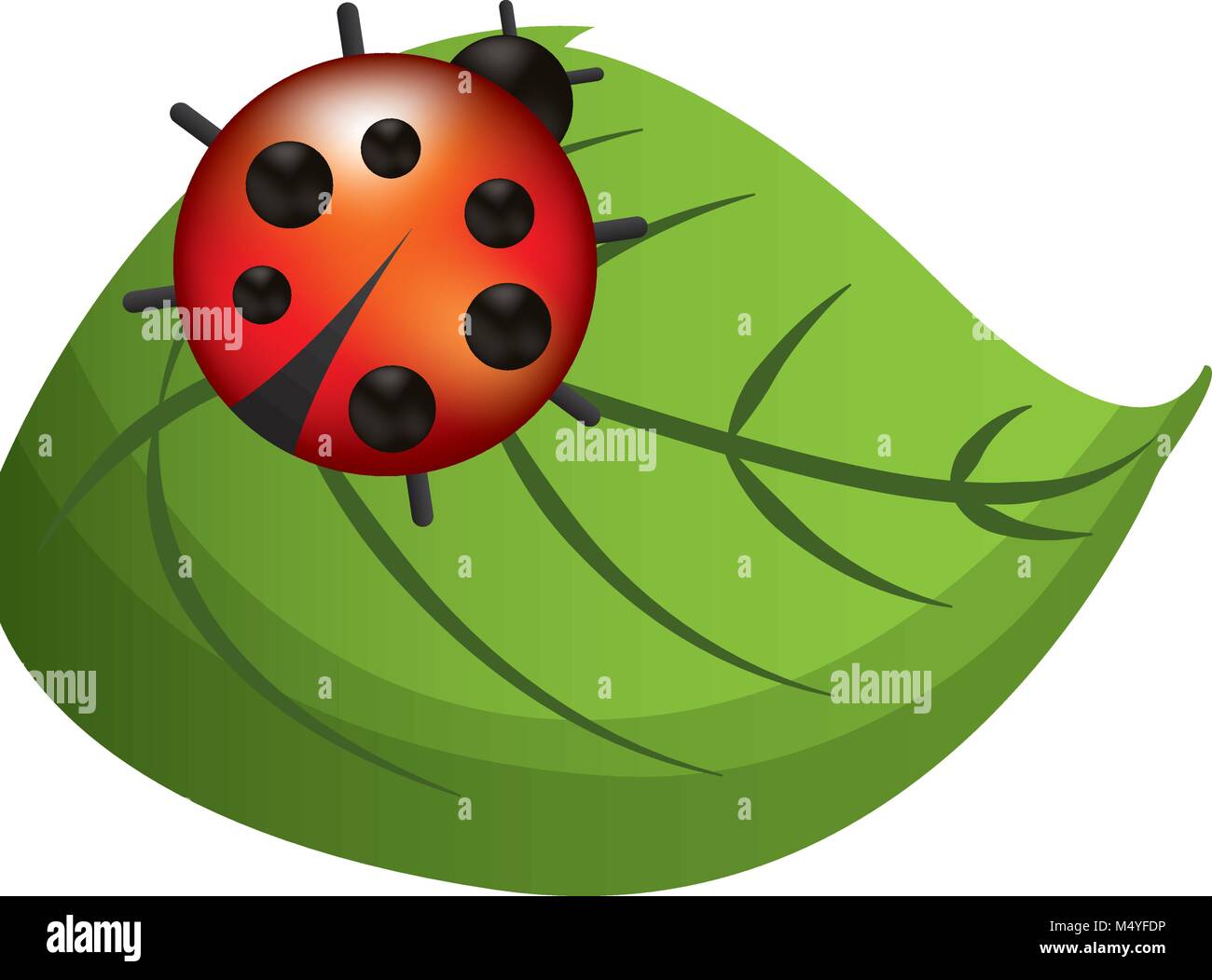 cute ladybug in leaf natural wildlife animal Stock Vector Image & Art ...