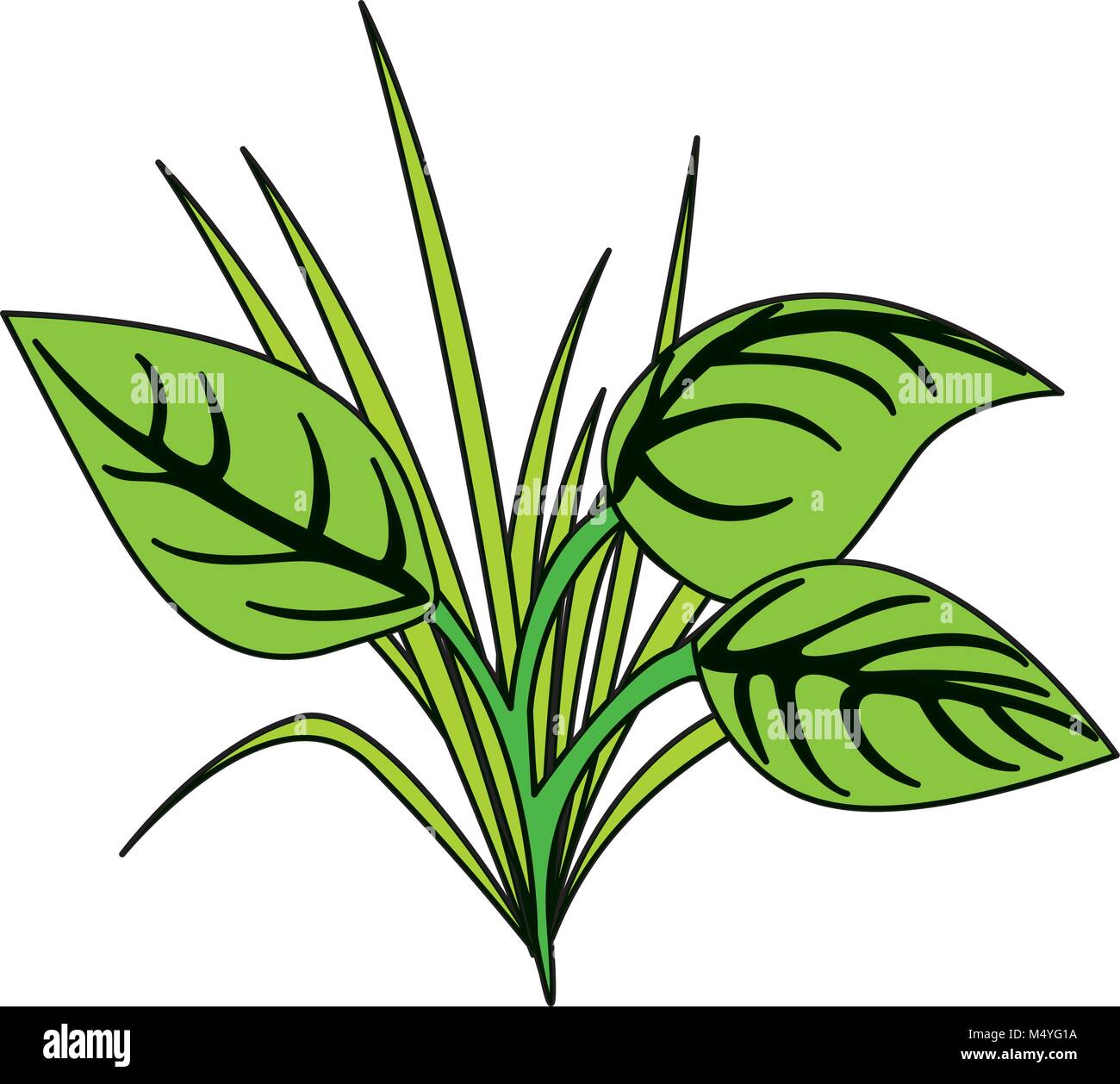 green leaves grass natural plant image Stock Vector Image & Art - Alamy