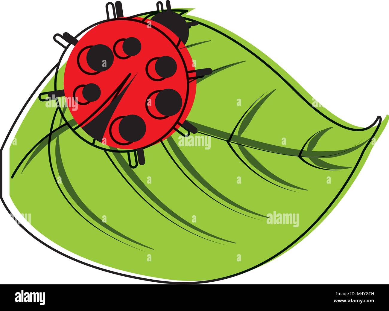 cute ladybug in leaf natural wildlife animal Stock Vector Image & Art ...