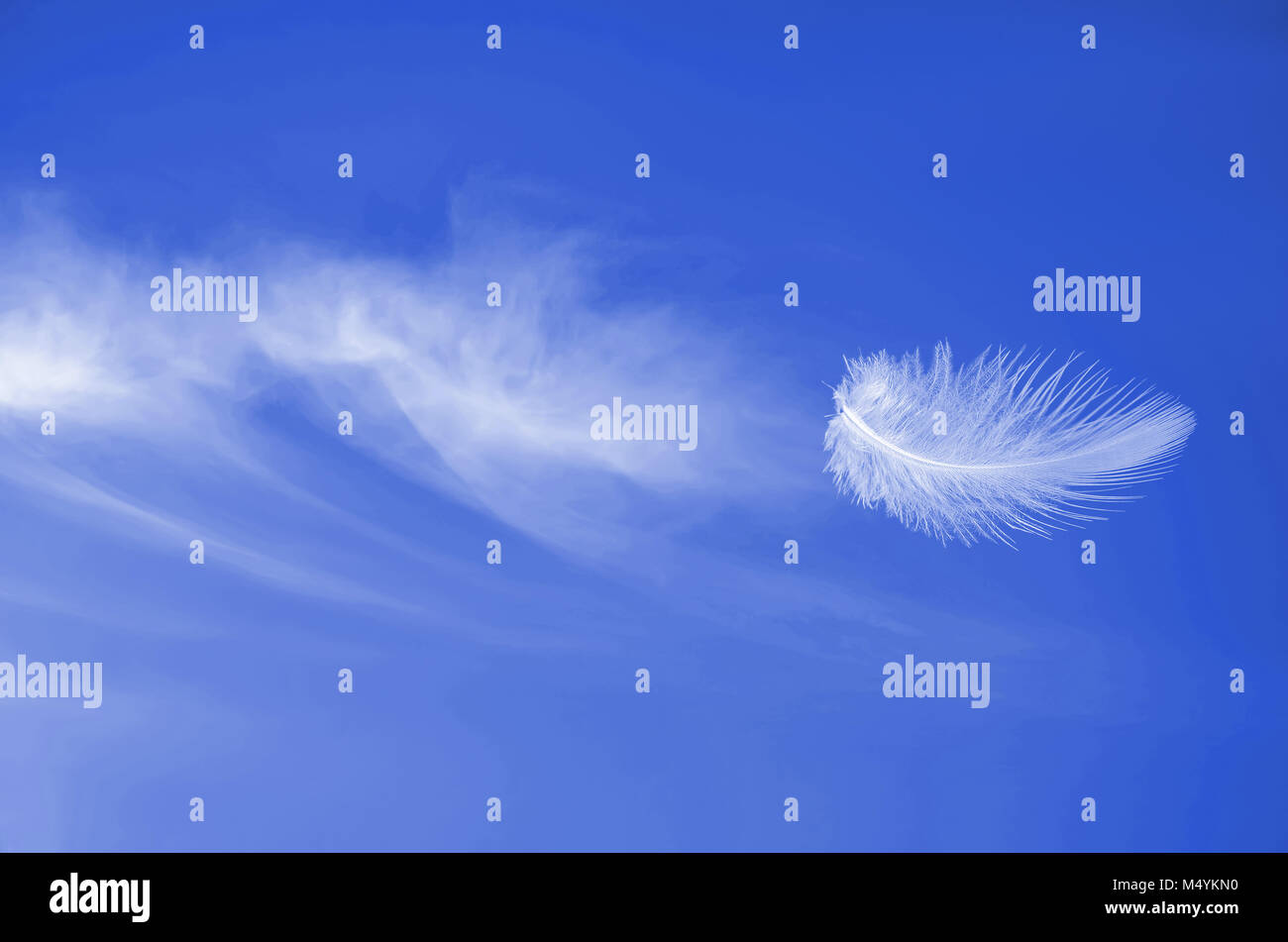 Soaring flight of white fluffy feather at blue sunny sky Stock Photo