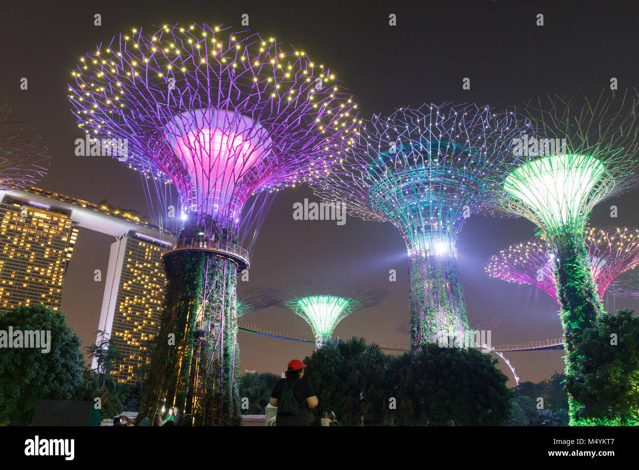 Singapore gardens by the bay park hi-res stock photography and images ...