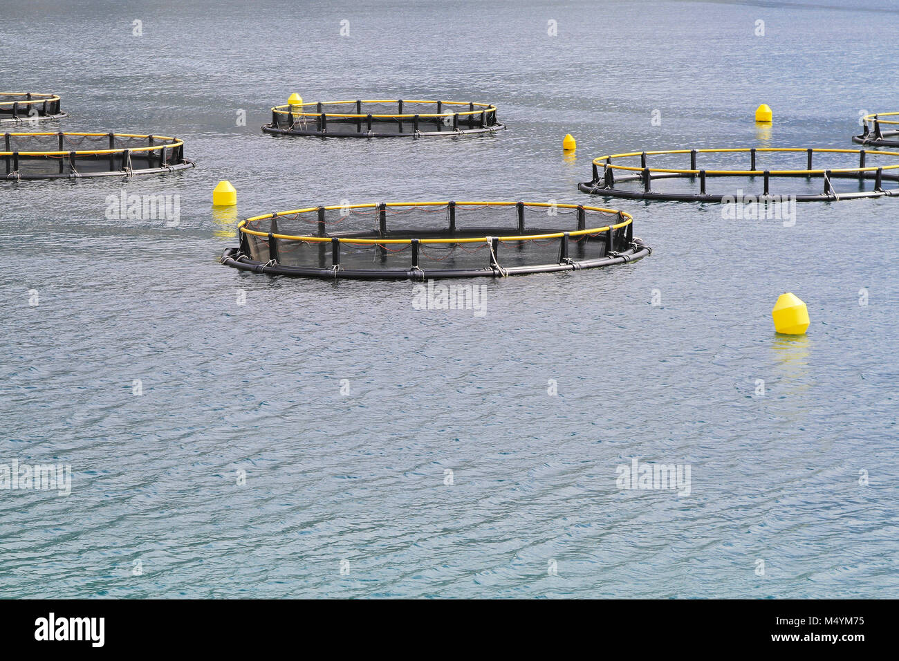 Aquaculture nets Stock Photo