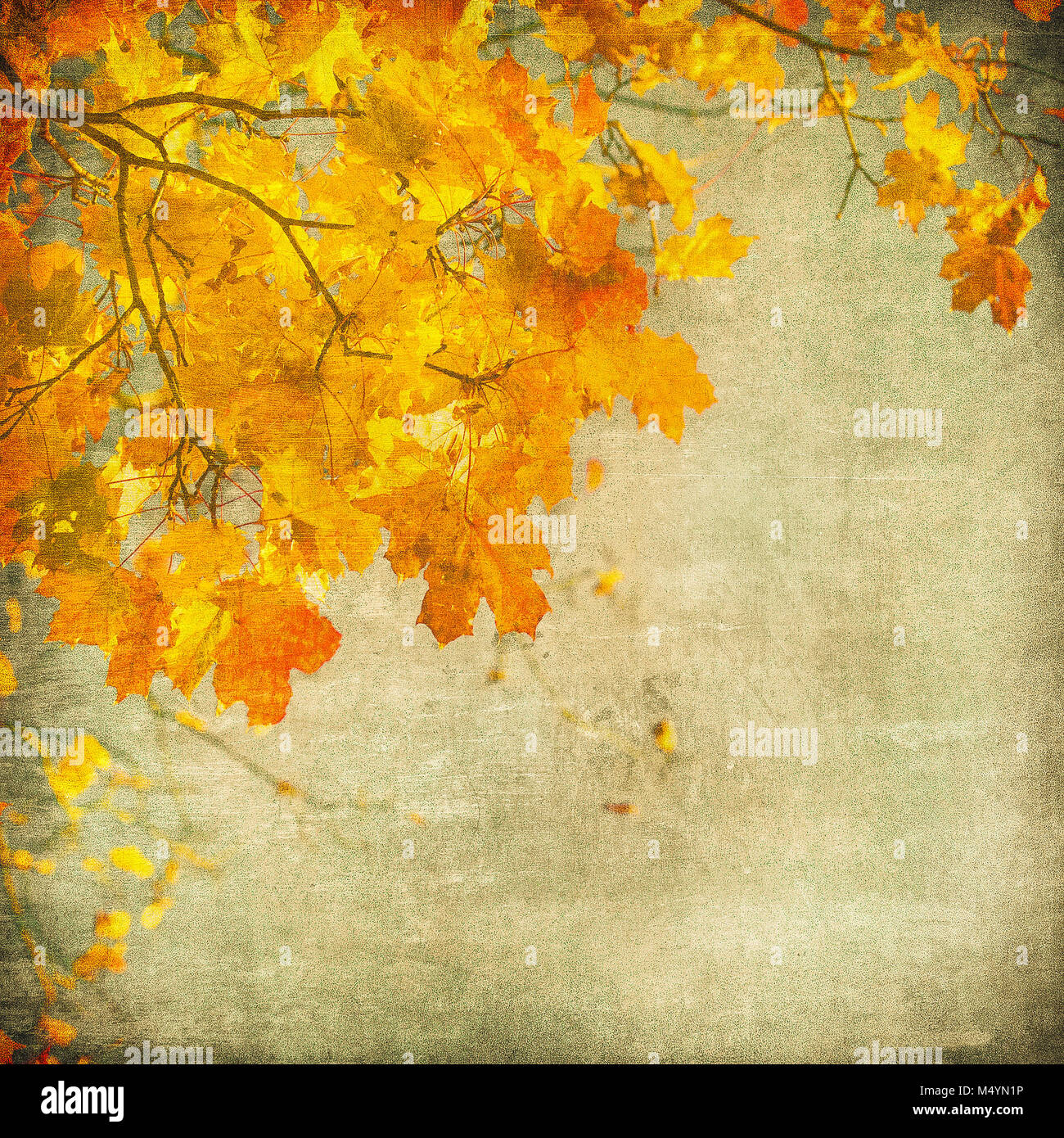 grunge background with autumn leaves Stock Photo - Alamy